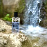 عطر ادکلن ایندیگو داویدف - Indigo Davidoff - بررسی، قیمت و خرید