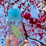 عطر ادکلن گرین تی ساکورا بلاسِم الیزابت آردن - Green Tea Sakura Blossom Elizabeth Arden - بررسی، قیمت و خرید