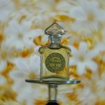 عطر ادکلن میتسوکو او د تویلت گرلن - Mitsouko Eau de Toilette Guerlain - بررسی، قیمت و خرید