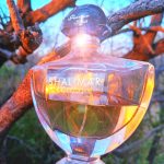 عطر ادکلن شالیمار کلون گرلن - Shalimar Cologne Guerlain - بررسی، قیمت و خرید