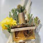 عطر ادکلن بلسک هامیکی و گریف - Blask Humiecki & Graef - بررسی، قیمت و خرید