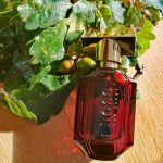 عطر ادکلن باس د سنت الیکسر فور هر هوگو باس - Boss The Scent Elixir For Her Hugo Boss - بررسی، قیمت و خرید