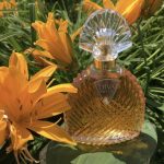عطر ادکلن دیوا پپیت ایمانوئل اونگارو - Diva Pépite Emanuel Ungaro - بررسی، قیمت و خرید