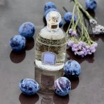 عطر ادکلن آپرز لوندی گرلن - Apres l'Ondee Guerlain - بررسی، قیمت و خرید