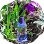 عطر ادکلن هرمسنس آیریس اوکیو هِرمس - Hermessence Iris Ukiyoé Hermès - بررسی، قیمت و خرید