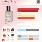 عطر ادکلن امبری چری دوسیه - Ambery Cherry Dossier - بررسی، قیمت و خرید