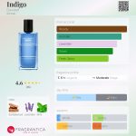 عطر ادکلن ایندیگو داویدف - Indigo Davidoff - بررسی، قیمت و خرید