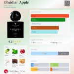 عطر ادکلن ابسیدین اپل دارک تیلز - Obsidian Apple Dark Tales - بررسی، قیمت و خرید