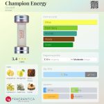 عطر ادکلن چمپیون انرژی داویدف - Champion Energy Davidoff - بررسی، قیمت و خرید