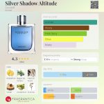 عطر ادکلن سیلور شدو آلتیتیود داویدف - Silver Shadow Altitude Davidoff - بررسی، قیمت و خرید