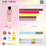 عطر ادکلن کِلی کَلِش هِرمِس - Kelly Calèche Hermès - بررسی، قیمت و خرید