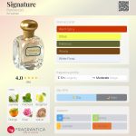 عطر ادکلن سیگنچر فرانچسکا - Signature francesca's - بررسی، قیمت و خرید