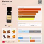عطر ادکلن دمَسکُس گریتی - Damascus Gritti - بررسی، قیمت و خرید