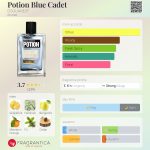 عطر ادکلن پوشن بلو کادت دسکوارد - Potion Blue Cadet DSQUARED² - بررسی، قیمت و خرید