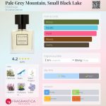 عطر ادکلن پِل گِرِی مَونتَن، اِسمال بِلَک لِیک دی اس اند دورگا - Pale Grey Mountain, Small Black Lake DS&Durga - بررسی، قیمت و خرید