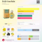 عطر ادکلن پتی گرلن گرلن - Petit Guerlain Guerlain - بررسی، قیمت و خرید