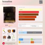 عطر ادکلن سنسِیشن گورو پرفیومز - Sensation Guru Perfumes - بررسی، قیمت و خرید