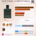 عطر ادکلن دیودز پرفیوم وان امبر اند کشمر دیویدز پرفیوم بای دیوید دوبریک - David's Perfume #01 Amber & Cashmere David’s Perfume by David Dobrik - بررسی، قیمت و خرید