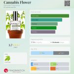 عطر ادکلن کانابیس فلاور دمیتر فراگرنس - Cannabis Flower Demeter Fragrance - بررسی، قیمت و خرید