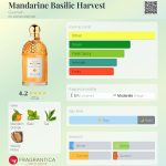 عطر ادکلن مندارین بازلیک هاروست گرلن - Mandarine Basilic Harvest Guerlain - بررسی، قیمت و خرید