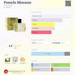 عطر ادکلن پوملو بلاسوم دی‌اس اند دورگا - Pomelo Blossom DS&Durga - بررسی، قیمت و خرید