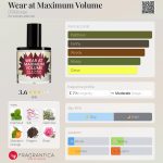 عطر ادکلن ویر ات مکسیمم ولوم دی‌اس اند دورگا - Wear at Maximum Volume DS&Durga - بررسی، قیمت و خرید