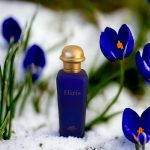 عطر ادکلن هیریس اِرمِس - Hiris Hermès - بررسی، قیمت و خرید