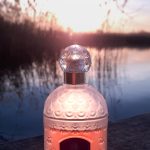 عطر ادکلن اینسولنس او دو تویلت گرلن - Insolence Eau de Toilette Guerlain - بررسی، قیمت و خرید