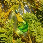 عطر ادکلن فلور دو کاباتین گرس - Fleur de Cabotine Grès - بررسی، قیمت و خرید