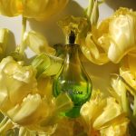 عطر ادکلن فلور دو کاباتین گرس - Fleur de Cabotine Grès - بررسی، قیمت و خرید