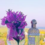 عطر ادکلن آکوا الگوریا کوکونات فیز گرلن - Aqua Allegoria Coconut Fizz Guerlain - بررسی، قیمت و خرید