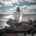عطر ادکلن دیون پور هوم دیور - Dune Pour Homme Dior - بررسی، قیمت و خرید