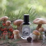عطر ادکلن فیلوسیکوس او دو تویلت دیپتیک - Philosykos Eau de Toilette Diptyque - بررسی، قیمت و خرید
