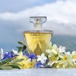 عطر ادکلن شانزلیزه او دو پرفیوم گرلن - Champs Elysees Eau de Parfum Guerlain - بررسی، قیمت و خرید