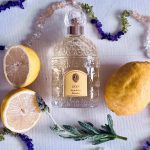 عطر ادکلن جیکی گرلن - Jicky Guerlain - بررسی، قیمت و خرید