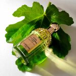 عطر ادکلن آکوا الگوریا فورته نرولیا وِتیوِر گرلن - Aqua Allegoria Forte Nerolia Vetiver Guerlain - بررسی، قیمت و خرید