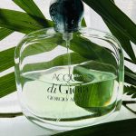 عطر ادکلن آکوا دی جیویا او فرش جورجو آرمانی - Acqua Di Gioia Eau Fraiche Giorgio Armani - بررسی، قیمت و خرید