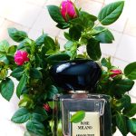 عطر ادکلن رز میلانو جورجیو آرمانی - Rose Milano Giorgio Armani - بررسی، قیمت و خرید