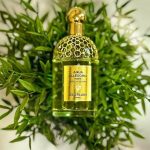 عطر ادکلن آکوا الگوریا فورته نرولیا وِتیوِر گرلن - Aqua Allegoria Forte Nerolia Vetiver Guerlain - بررسی، قیمت و خرید