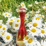 عطر ادکلن کاباره گرس - Cabaret Grès - بررسی، قیمت و خرید