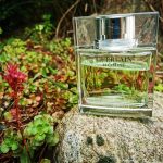 عطر ادکلن گرلن اوم گرلن - Guerlain Homme Guerlain - بررسی، قیمت و خرید