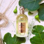 عطر ادکلن آکوا الگوریا فورته نرولیا وِتیوِر گرلن - Aqua Allegoria Forte Nerolia Vetiver Guerlain - بررسی، قیمت و خرید