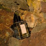 عطر ادکلن لوم اکامپلی دایوین - L'homme Accompli Divine - بررسی، قیمت و خرید