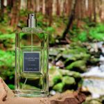 عطر ادکلن گرلن هوم له او بویزی گیرلن - Guerlain Homme L'Eau Boisée Guerlain - بررسی، قیمت و خرید