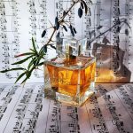 عطر ادکلن سُ فرنچ آیزنبرگ - So French! Eisenberg - بررسی، قیمت و خرید