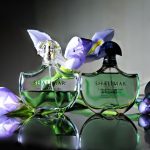 عطر ادکلن شالیمار او لجر گرلن - Shalimar Eau Légère Guerlain - بررسی، قیمت و خرید