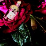 عطر ادکلن آکوا آلگوریا ماندارین بزیلیک گرلن - Aqua Allegoria Mandarine Basilic Guerlain - بررسی، قیمت و خرید