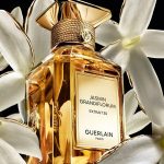 عطر ادکلن جاسمین گرندیفلوروم اکستریت سی گرلن - Jasmin Grandiflorum Extrait 30 Guerlain - بررسی، قیمت و خرید