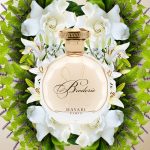 عطر ادکلن بروودری هیری پارفومز - Broderie Hayari Parfums - بررسی، قیمت و خرید