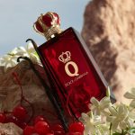 عطر ادکلن کی بای دولچه اند گابانا پارفوم دولچه و گابانا - Q by Dolce & Gabbana Parfum Dolce&Gabbana - بررسی، قیمت و خرید